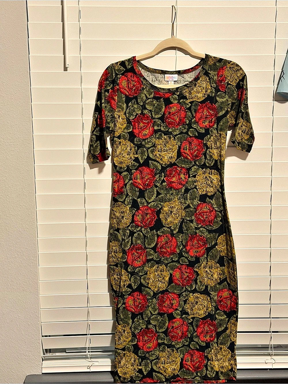 LuluRoe Floral Maxi Dress in Black & Red Like New